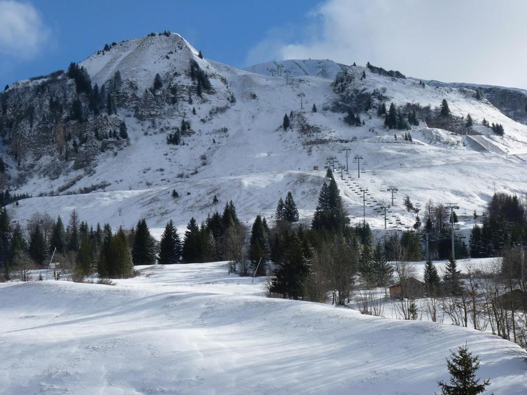 Les Amborzales Lägenhet Le Grand-Bornand Exteriör bild